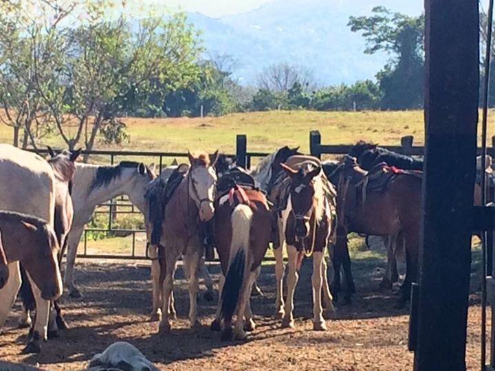 Hotel Hacienda El Rodeo Vueltas Luaran gambar