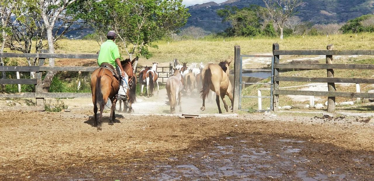 Hotel Hacienda El Rodeo Vueltas Luaran gambar