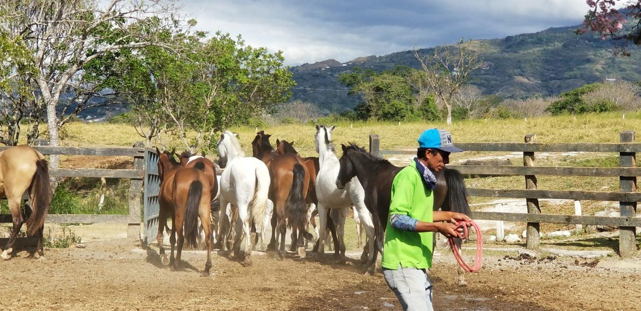 Hotel Hacienda El Rodeo Vueltas Luaran gambar