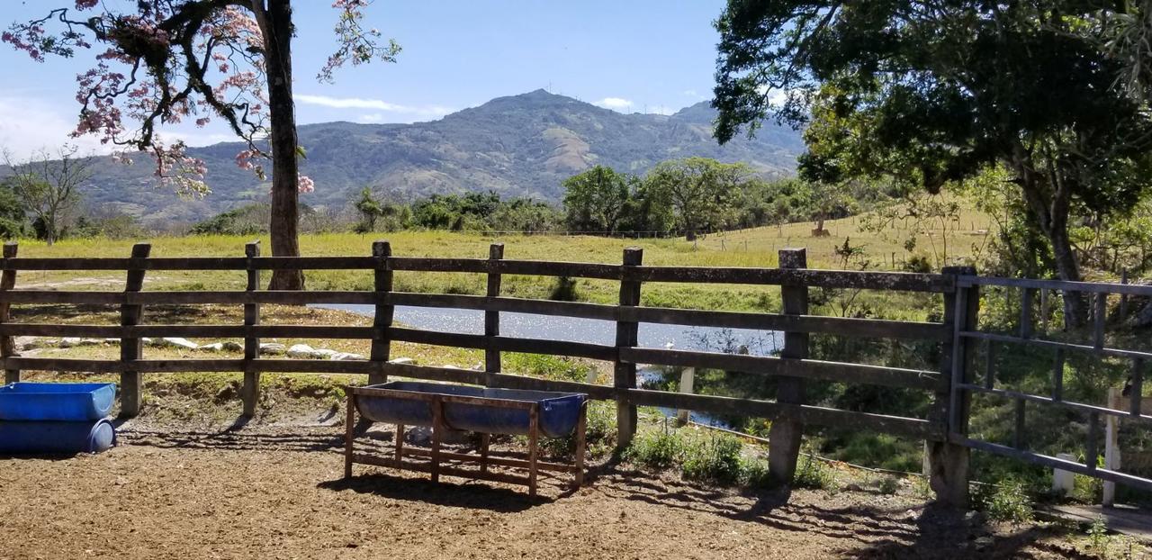 Hotel Hacienda El Rodeo Vueltas Luaran gambar